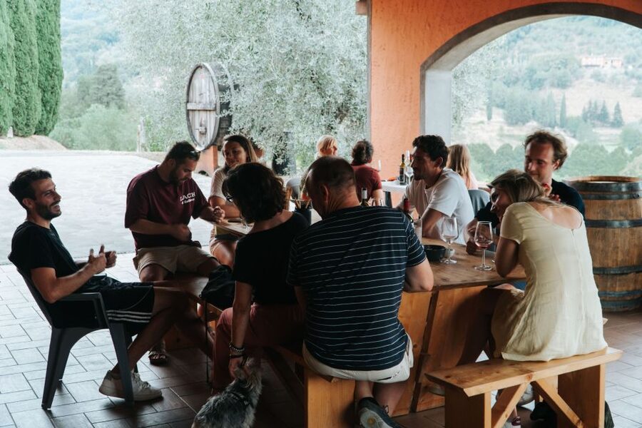 Lucca: Guided Winery Tour with Wine Tasting - Key points to know before booking