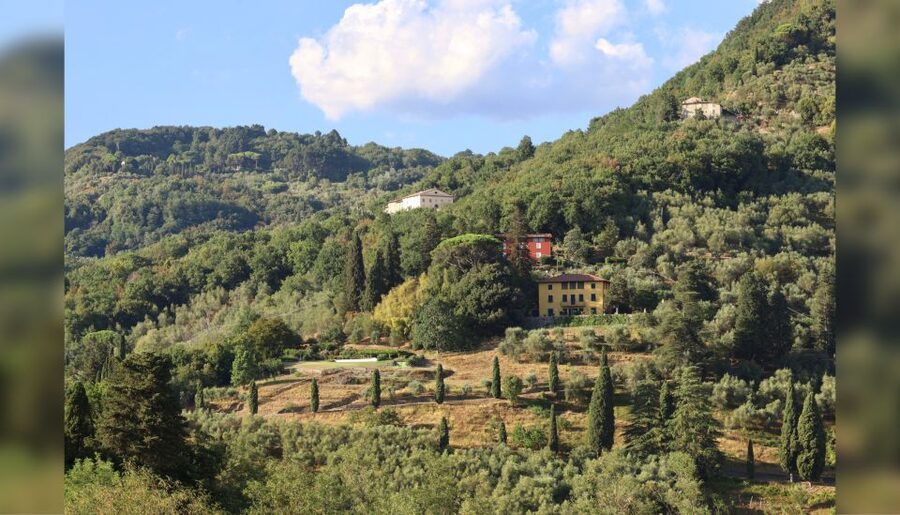 Lucca: Guided Winery Tour with Wine Tasting - Practical booking advice