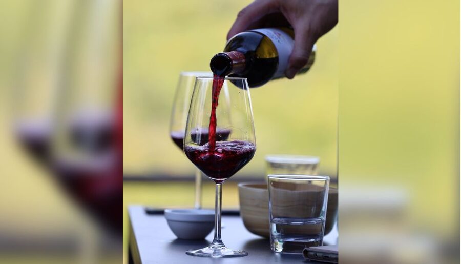 Lucca: Guided Winery Tour with Wine Tasting - Why Tenuta Adamo works well as a Lucca outing