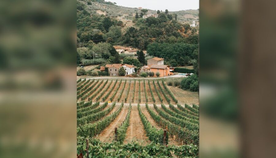 Lucca: Guided Winery Tour with Wine Tasting - Getting there from Lucca