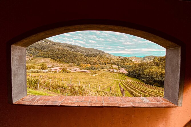 Lucca: Wine Tasting Experience - Tenuta Adamo Winery - Key points at a glance