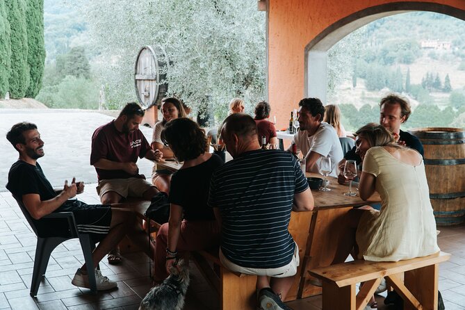 Lucca: Wine Tasting Experience - Tenuta Adamo Winery - The terrace tasting, with four wines and olive oil