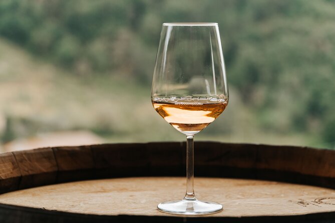 Lucca: Wine Tasting Experience - Tenuta Adamo Winery - What to pack and what to arrange