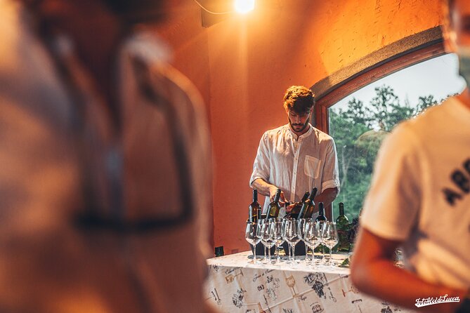 Lucca: Wine Tasting Experience - Tenuta Adamo Winery - Is $24.20 a good deal?