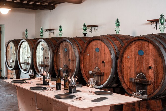 Lucca: Wine Tasting Experience - Tenuta Adamo Winery - What happens inside the small cellar