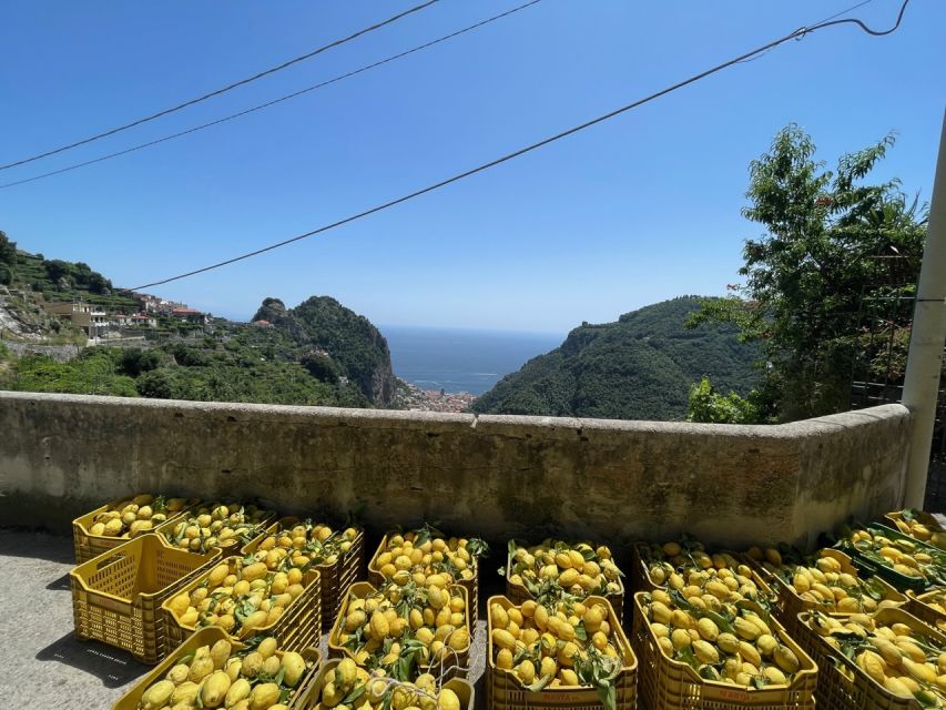 Maiori: Amalfi Coast Path of Lemons Day Trip with Tastings - Should you book the Path of Lemons?