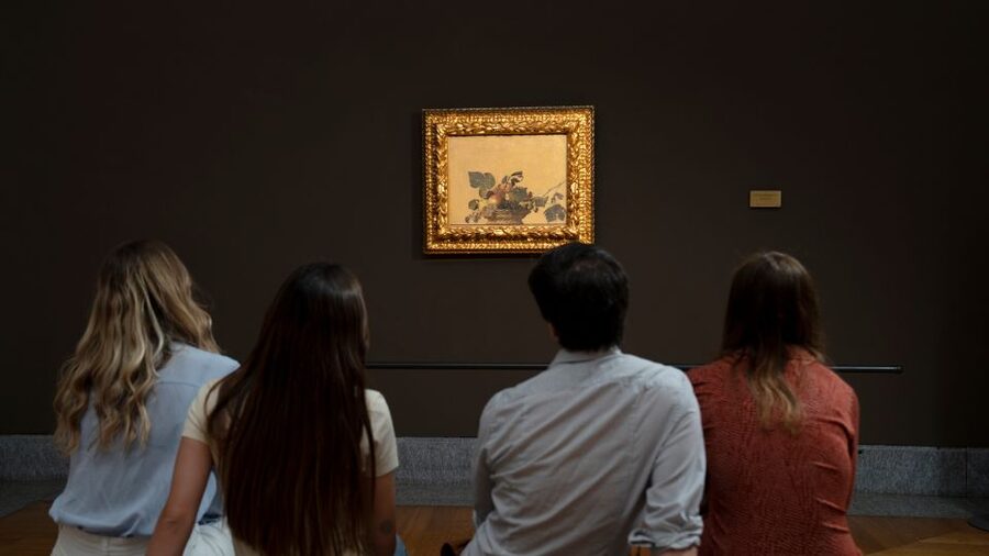 Milan: Pinacoteca Ambrosiana and San Sepolcro Crypt Ticket - Why this small museum deserves a place in your Milan plans