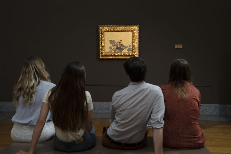 Milan: Pinacoteca Ambrosiana & da Vinci Codex Exhibition - Raphael’s School of Athens cartoon is a must-see