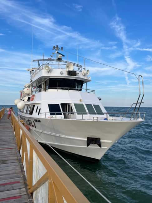 Milano Marittima: Riviera Romagnola Half-Day Boat Tour - Boarding at Cervia and the early afternoon departure