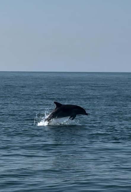 Milano Marittima: Riviera Romagnola Half-Day Boat Tour - How the timing and weather affect your day