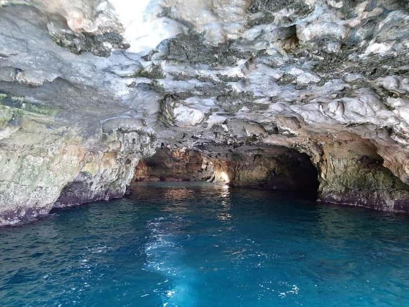Monopoli: 2.5 Hour Boat Tour to the Polignano a Mare Caves - The swim stop in clear blue water