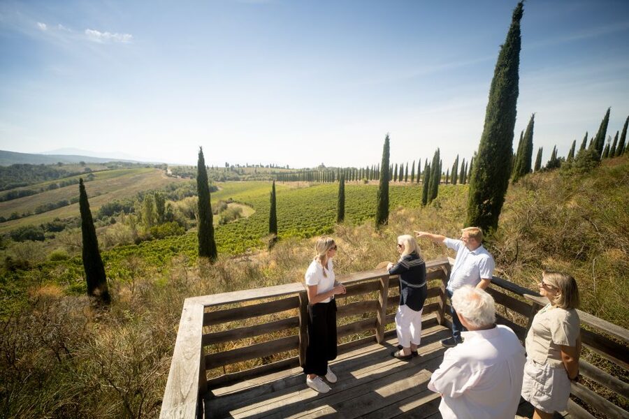 Montalcino: Guided Winery Tour and Wine Tasting - Why Corte Pavone makes a good Montalcino stop