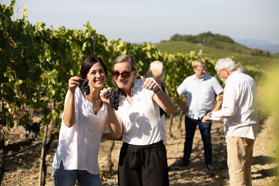 Montalcino: Guided Winery Tour and Wine Tasting - From grape processing to the cross-vaulted cellar
