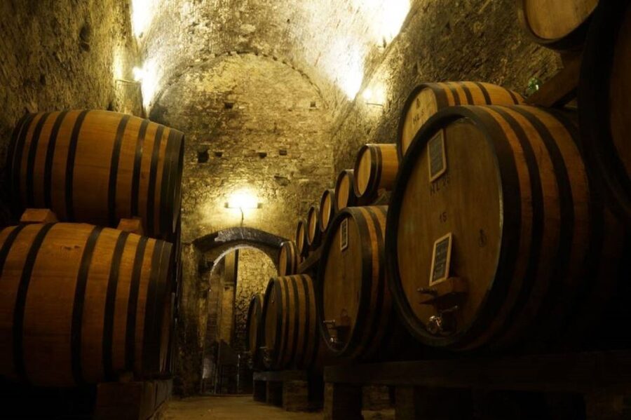 Montepulciano: Wine Tasting and Cellar Tour - Entering Montepulciano’s underground wine world