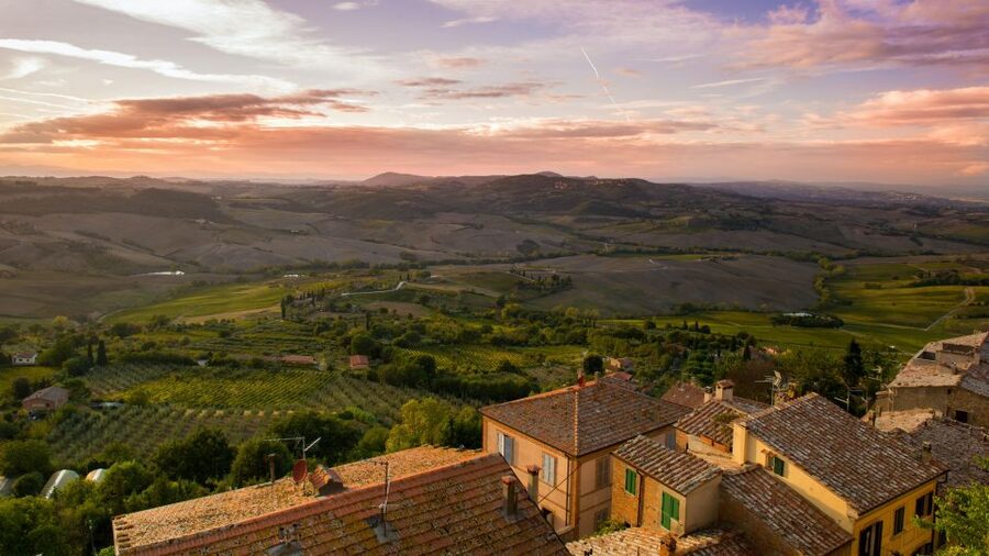 Montepulciano: Winery Tour and Tasting - How the 1.5-hour tour unfolds