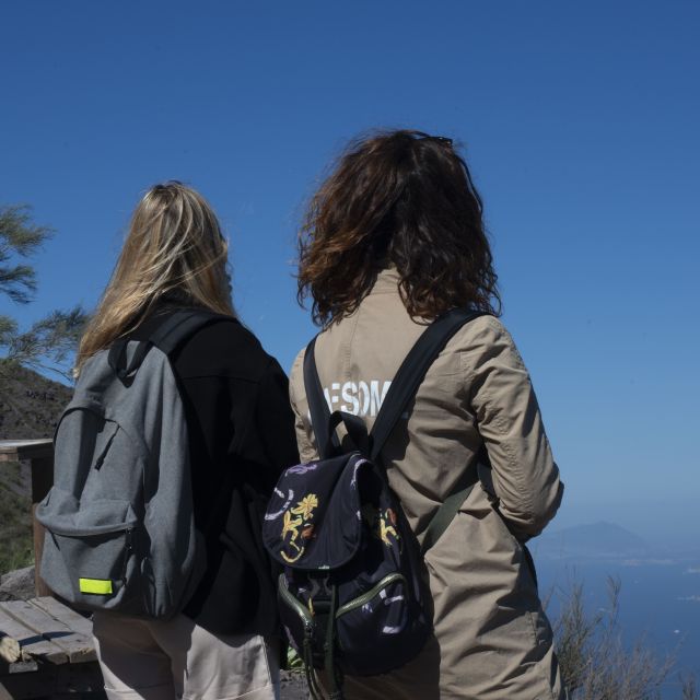 Mount Vesuvius: Skip-the-Line Ticket and Smart Digital Guide - Arriving at Sentiero del Gran Cono