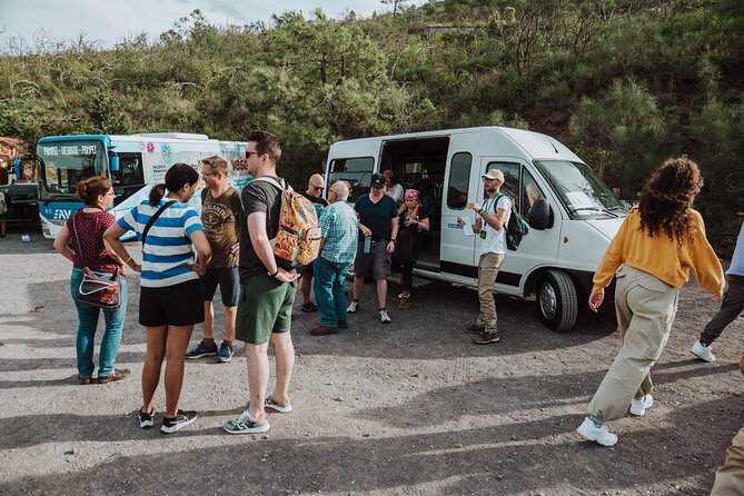 Mount Vesuvius Tour from Pompeii Led by an Expert Guide - Who will enjoy this outing most?