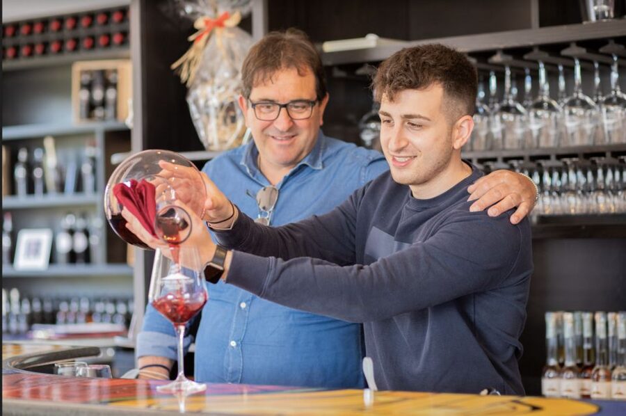 Mount Vesuvius: Vineyard Tour with Wine Tasting and Lunch - Key points at a glance