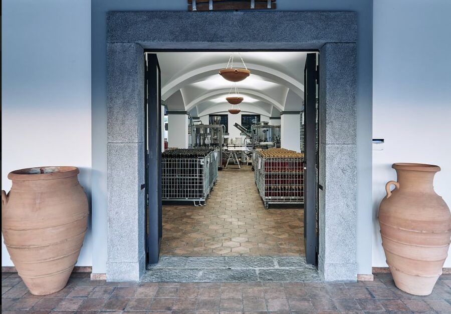 Mount Vesuvius: Vineyard Tour with Wine Tasting and Lunch - Practical tips for a smoother visit