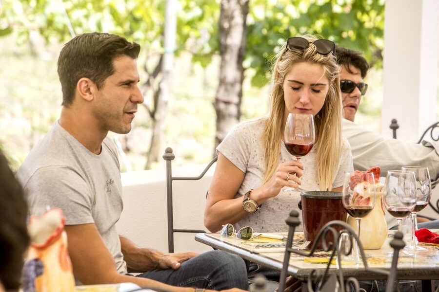 Mount Vesuvius: Vineyard Tour with Wine Tasting and Lunch - A local lunch with a long view
