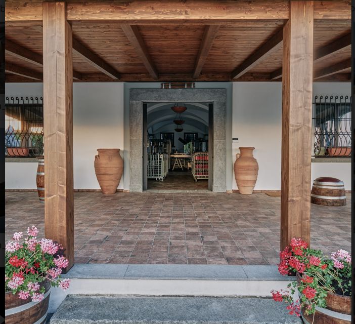 Mount Vesuvius: Vineyard Tour with Wine Tasting and Lunch - What the timing really feels like