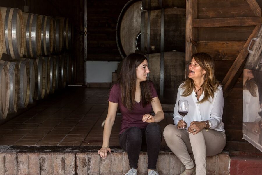 Mount Vesuvius: Vineyard Tour with Wine Tasting and Lunch - Who will enjoy this experience most