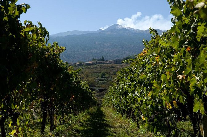 Mt Etna and Wine tasting tour from Catania - Weather, clothing, and physical effort