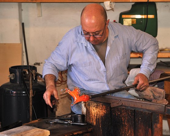 Murano, Burano and Torcello Half-Day Sightseeing Tour - What the guiding is really like