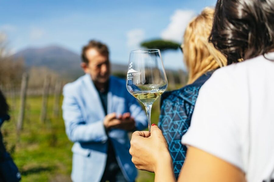 Naples: Pompeii and Mt. Vesuvius with Lunch and Wine Tasting - Meeting your guide in Naples