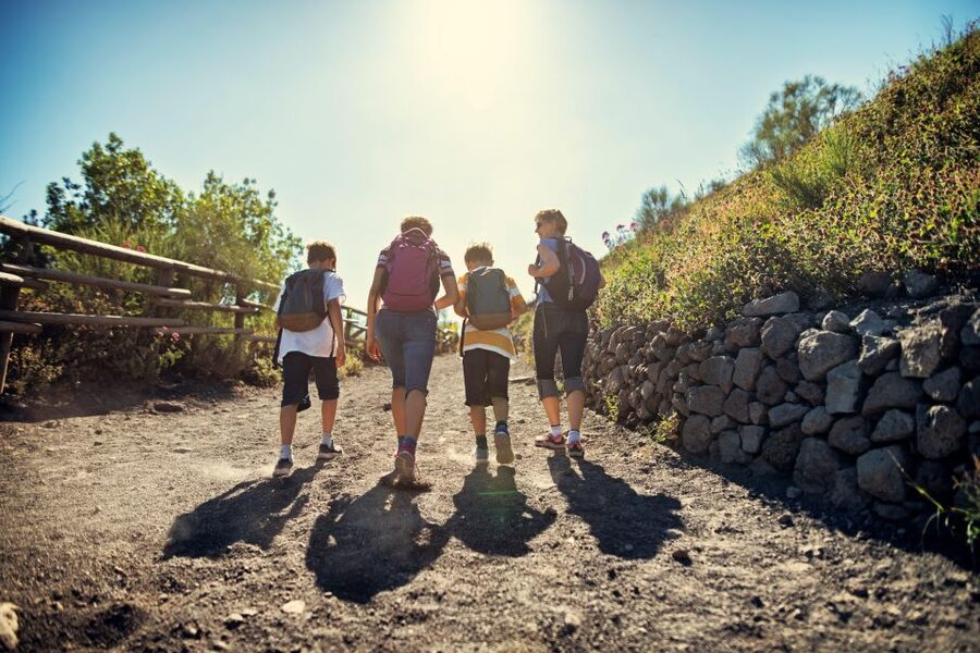 Naples: Pompeii & Mt. Vesuvius Day Trip with Tickets & Lunch - Guides, languages, and group size