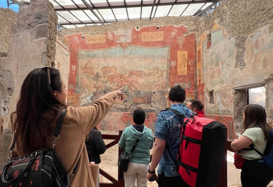 Naples: Pompeii & Mt. Vesuvius Day Trip with Tickets & Lunch - Lunch near Vesuvius, with time to rest
