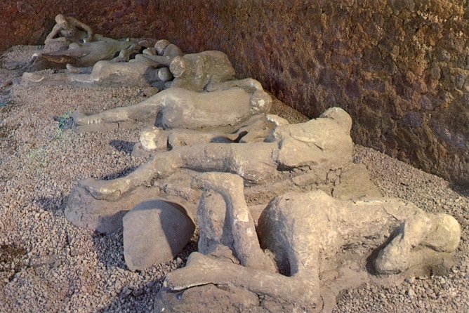 Naples Shore Excursion: Naples City and Pompeii Half Day Sightseeing Tour - The return trip and the ship guarantee