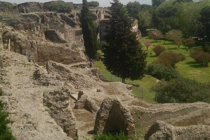 Naples Shore Excursion: Pompeii Half Day Trip from Naples - The Forum, the center of public Pompeii
