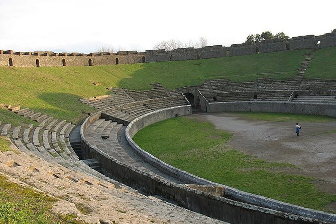 Naples Shore Excursion: Pompeii Half Day Trip from Naples - What the guide adds