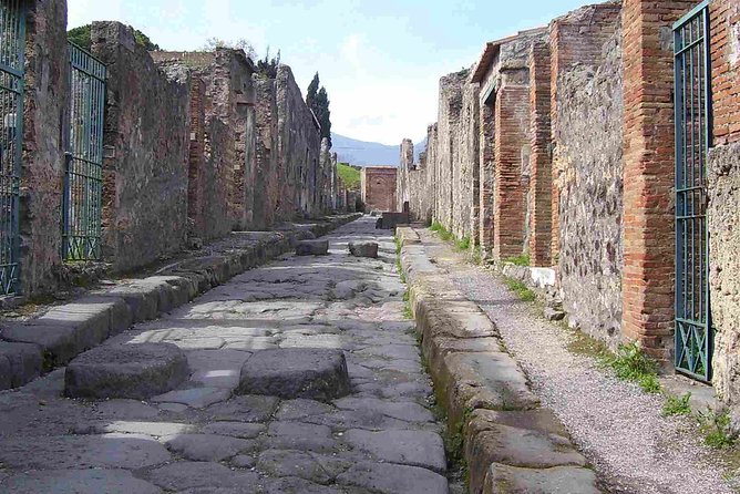 Naples Shore Excursion: Pompeii Half Day Trip from Naples - Leaving Naples at 9:45 a.m.