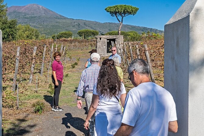 Naples: Tour of Mt Vesuvius and Pompeii w/ Lunch & Wine tasting - Who will enjoy this full-day outing?