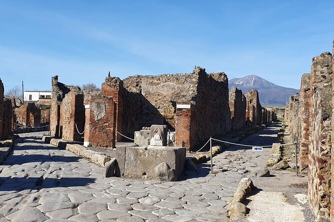 Naples: Tour of Mt Vesuvius and Pompeii w/ Lunch & Wine tasting - What to look for inside the Roman ruins