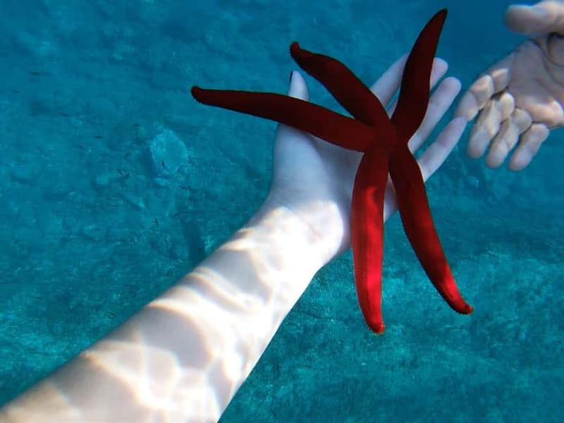 Naxos: Taormina Boat Tour with Snorkeling and Prosecco - Grotta dell’Amore and the first sea-cave views