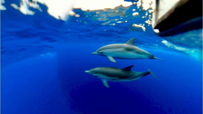 Naxos: Taormina Boat Tour with Snorkeling and Prosecco - What the $51.24 price includes