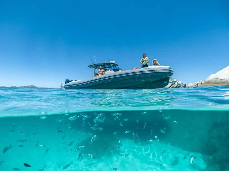 Olbia: Boat tour to Tavolara Park with Aperitif and Drinks - Key points to know before booking