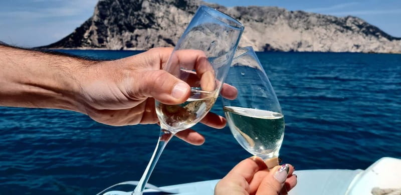 Olbia: Boat tour to watch Dolphins and snorkeling - Quick take: what makes this trip special