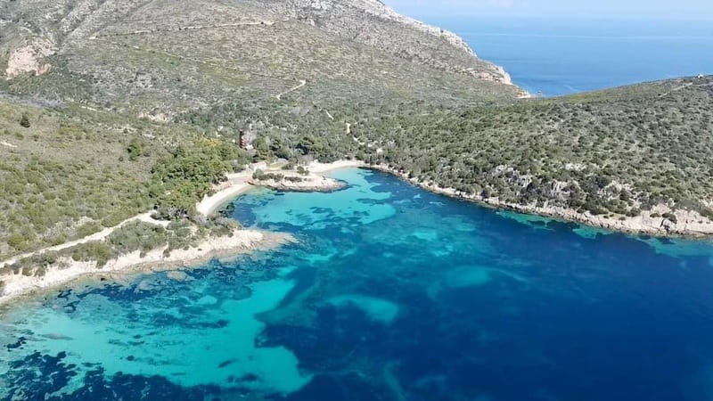 Olbia: Boat tour to watch Dolphins and snorkeling - Captain Anett’s role in the experience