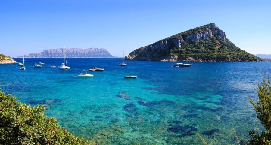 Olbia: Dolphin Watching and Snorkeling Boat Tour - Watching dolphins in their natural setting