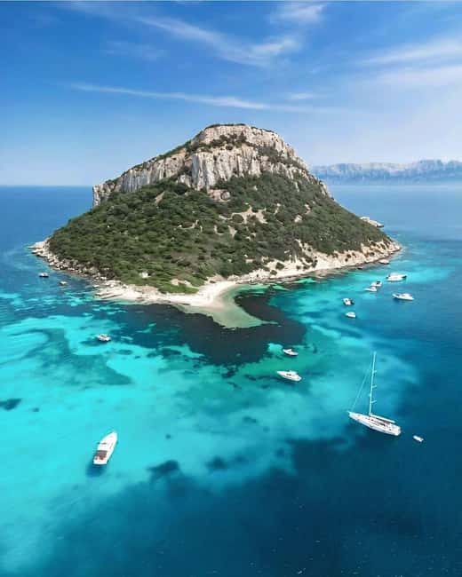 Olbia: Dolphin Watching & Snorkeling Boat Tour near Figarolo - Isola della Bocca and the final ride back