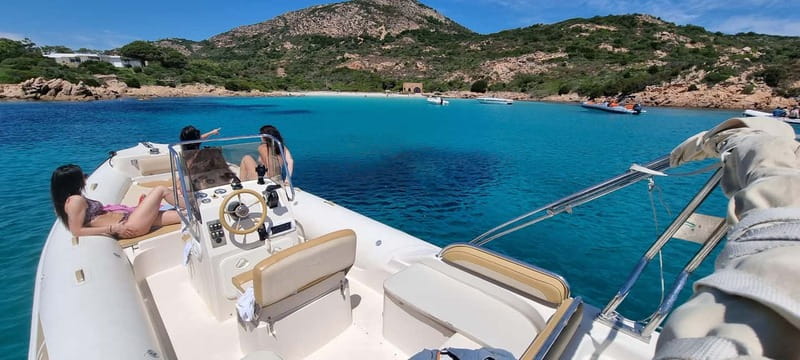 Olbia: Dolphin Watching & Swim and snorkel in Capo Figari - Key points to know before you book