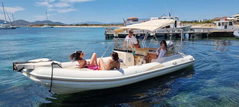 Olbia: Dolphin Watching & Swim and snorkel in Capo Figari - Dolphins first, swimming second