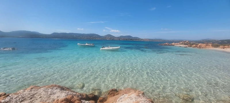 Olbia: Dolphin Watching & Swim and snorkel in Capo Figari - A 30-minute run toward Figarolo Island