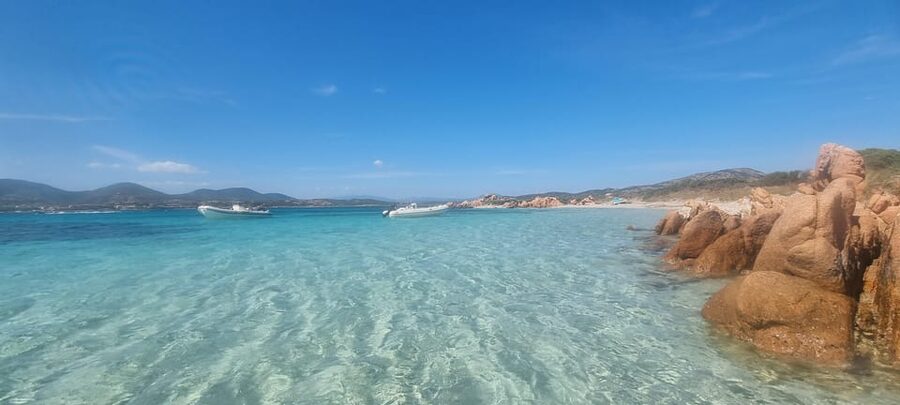 Olbia: Dolphin Watching & Swim and snorkel in Capo Figari - Swimming and snorkeling near Capo Figari