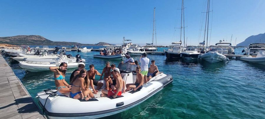 Olbia: Dolphin Watching & Swim and snorkel in Capo Figari - What the 3.5 hours feel like