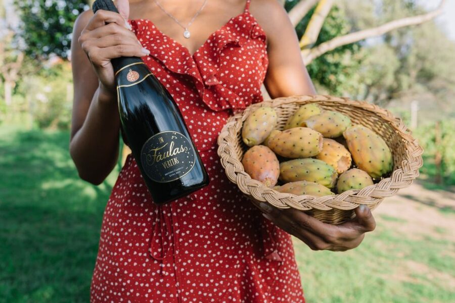 Olbia: Gallura Winery Guided Tour with Tasting - Quick Points Before You Book